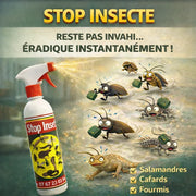 L’anti-insectes nouvelle génération